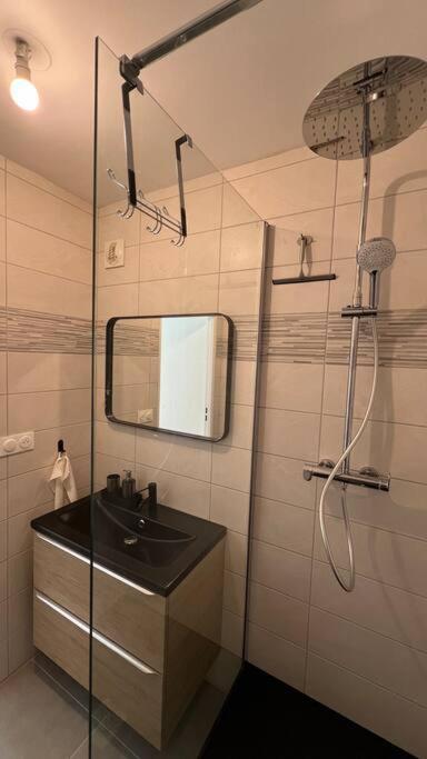 Le Nid Champenois Apartment Reims Exterior foto