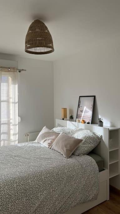 Le Nid Champenois Apartment Reims Exterior foto