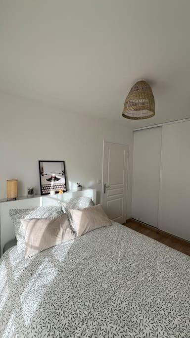 Le Nid Champenois Apartment Reims Exterior foto